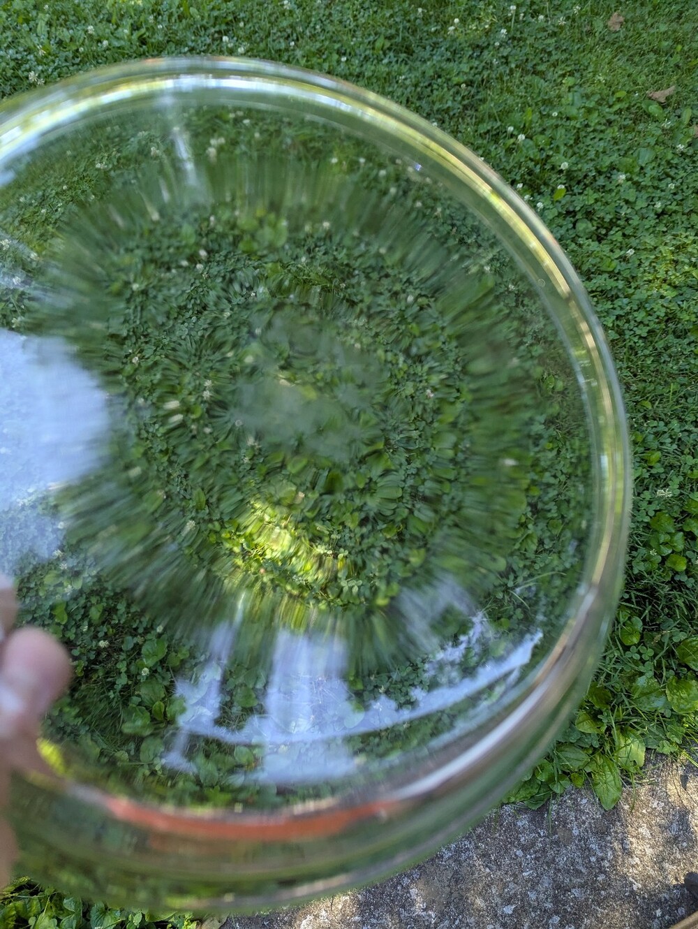 Pyrex Pie Pan - Picture 2 of 6